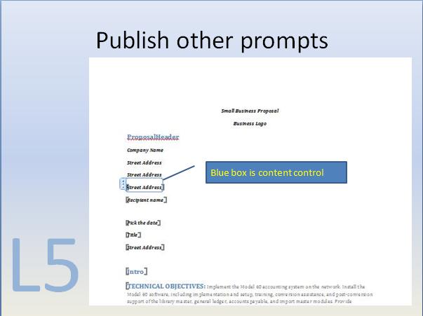 9_L5_Publish_Other_Prompts_2